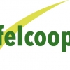 FELCOOP