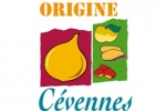 ORIGINE CEVENNES